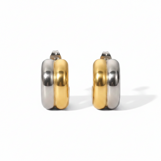 Two Tone Earrings